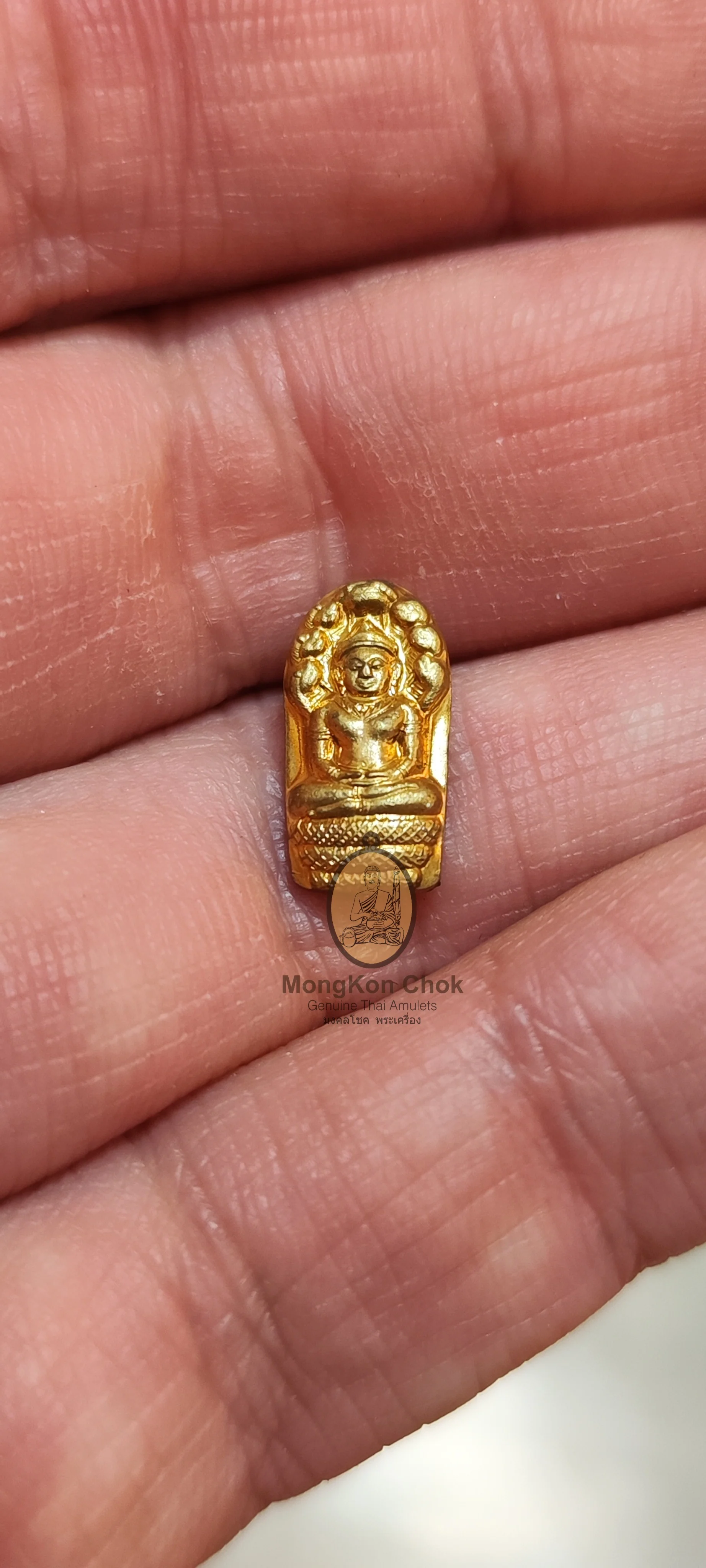 Nak Prok Bai Makham 2560 - Image 3
