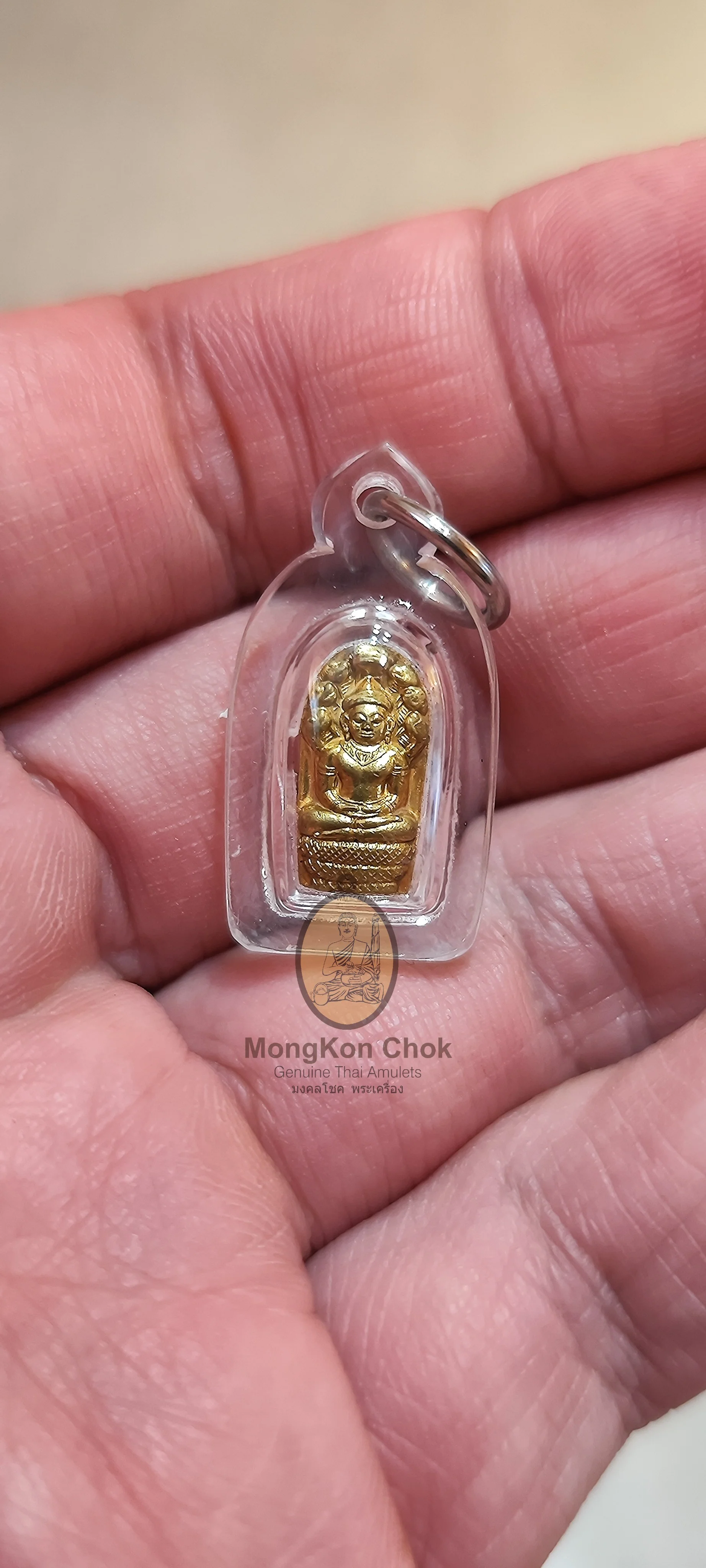 Nak Prok Bai Makham 2560 - Image 6