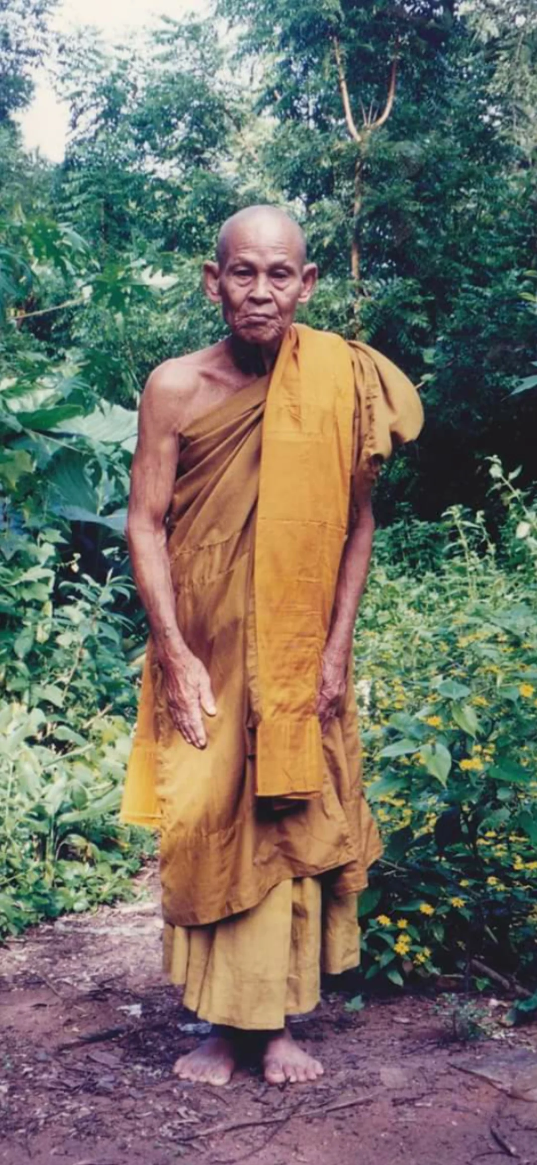Renowned Khun Paen Maroom Matoom - Image 3