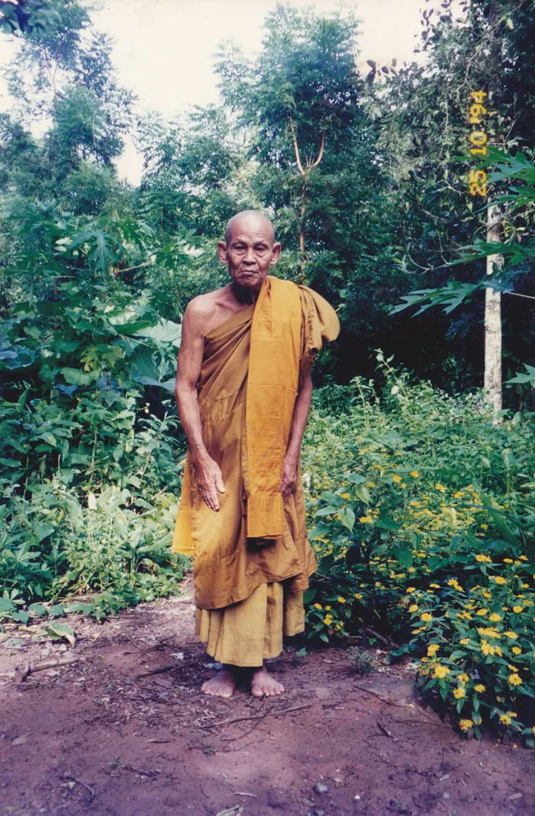 Yinku Maha Saneh 2544 - Image 3